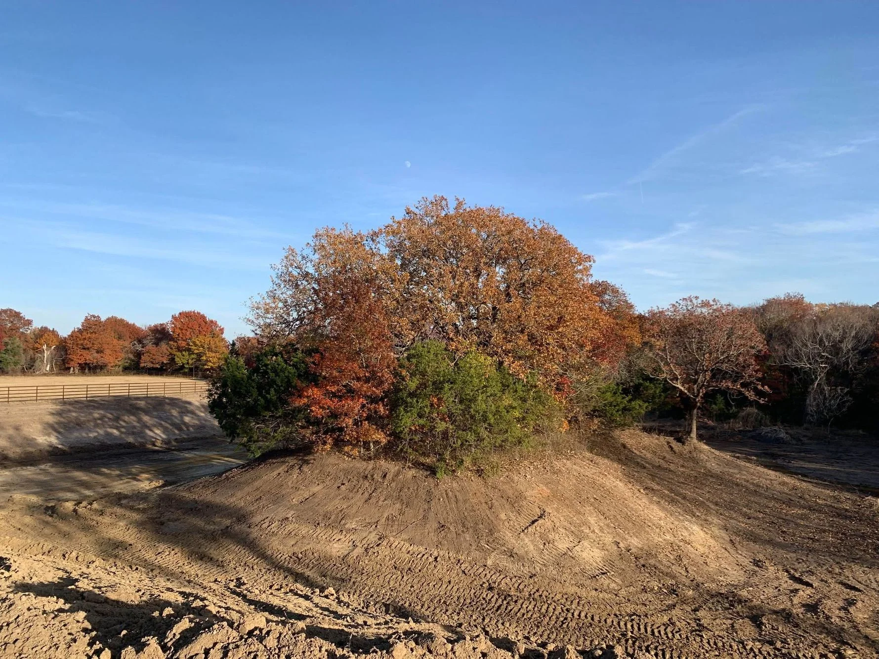 Graded dirt lot with mature oak trees and metal ranch fencing in background