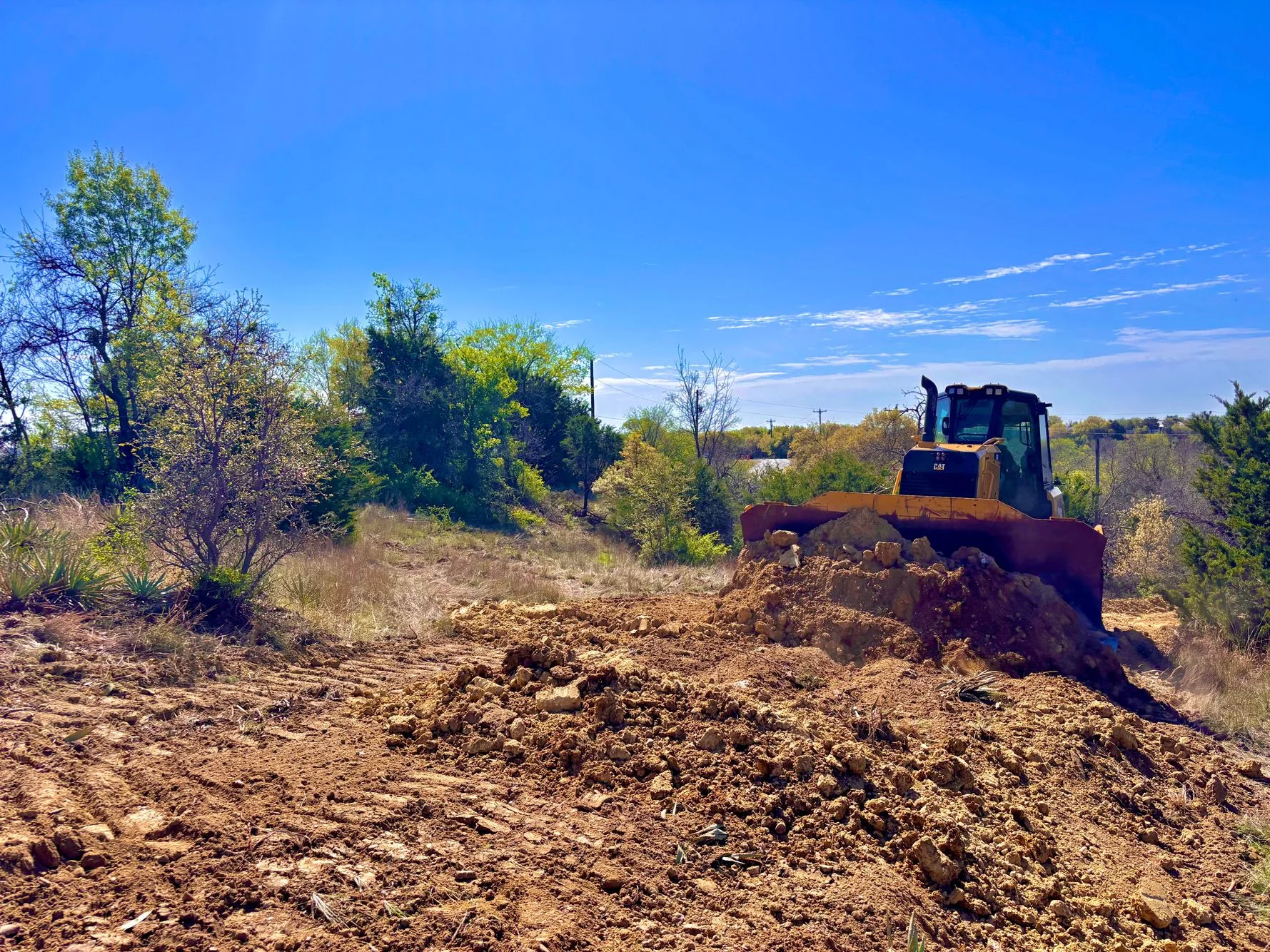 CAT dozer clearing overgrown land with brush, trees, and rocky soil